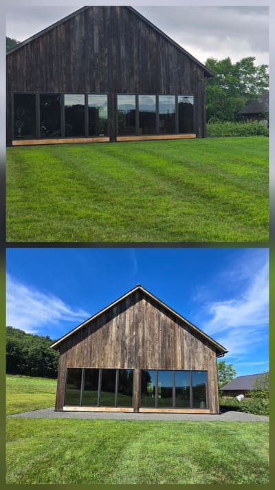 American chestnut restoration in copake ny