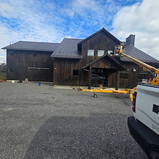American Chestnut Restoration in Copake, NY 0
