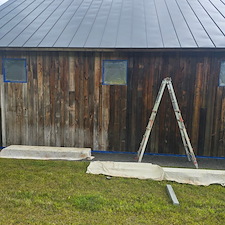 American Chestnut Restoration in Copake, NY 1