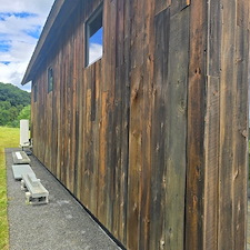 American Chestnut Restoration in Copake, NY 3