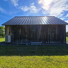 American Chestnut Restoration in Copake, NY 4
