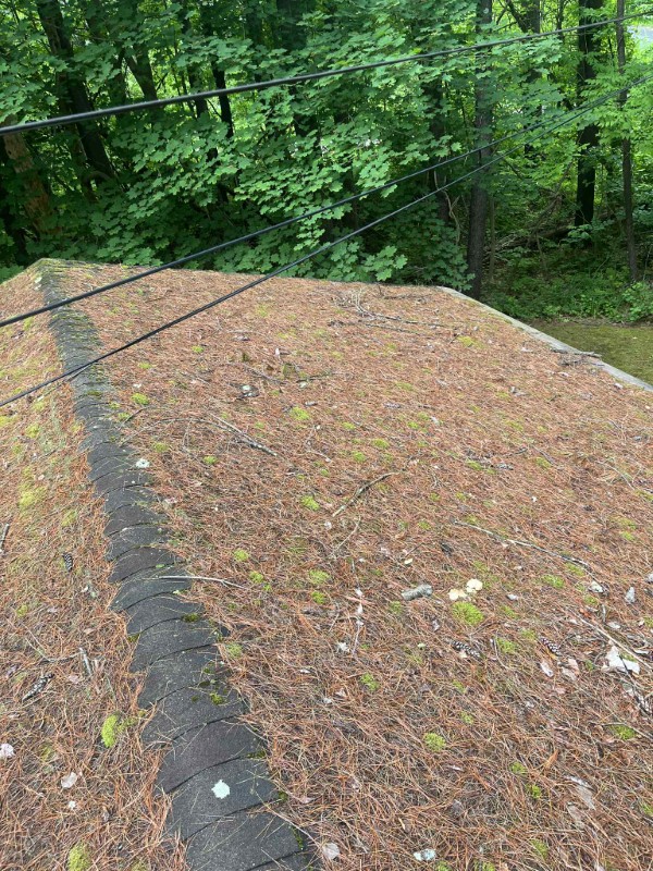 Roof Cleaning in Lenox, MA